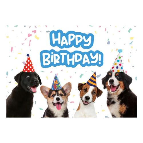 A5 Verjaardagskaart Honden "Happy Birthday!" – Vier Honden met Feesthoedje 3 Labrador, corgi, Jack Russell en Berner Sennenhond met feesthoedje – A5 verjaardagskaart honden
