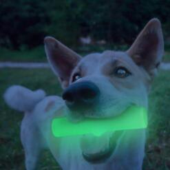 2 Glow Cracking & Tracking Stick