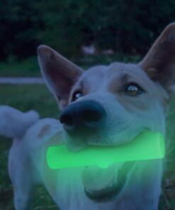 2 Glow Cracking & Tracking Stick