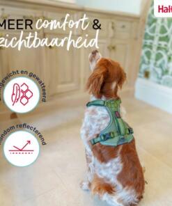 Anatomy Tuig Halti 16 Anatomy Tuig Halti