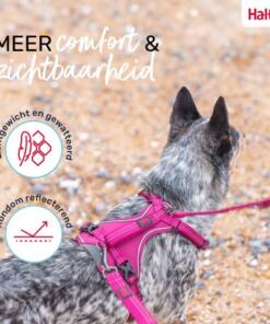 Anatomy Tuig Halti 17 Anatomy Tuig Halti