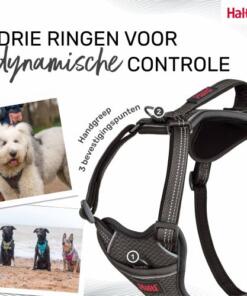 Anatomy Tuig Halti 18 Anatomy Tuig Halti