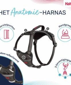 Anatomy Tuig Halti 19 Anatomy Tuig Halti