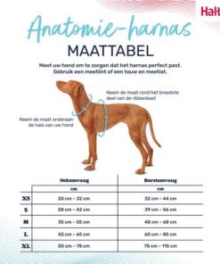 Anatomy Tuig Halti 20 Anatomy Tuig Halti Maattabel