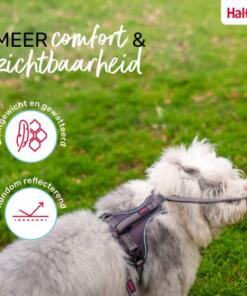 Anatomy Tuig Halti 15 Anatomy Tuig Halti