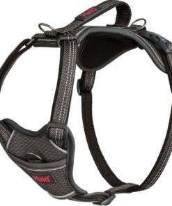 Anatomy Tuig Halti 22 Anatomy Tuig Halti Grey