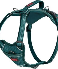 Anatomy Tuig Halti Teal