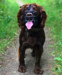 Baskerville Ultra Muilkorf 15 Baskerville Ultra Muilkorf