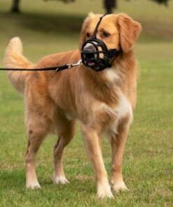 Baskerville Ultra Muilkorf 16 Baskerville Ultra Muilkorf