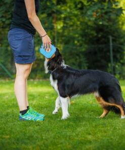 Foam Dumbbell Up 17 Foam Dumbbell Up