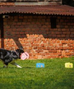 Foam Dumbbell Up 19 Foam Dumbbell Up