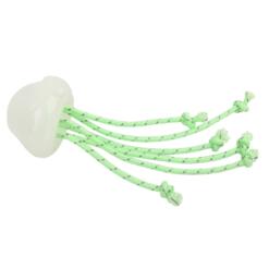 Alternative view of Glowing Jellyfish