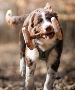 Houten Dumbbell 27 Houten Dumbbell