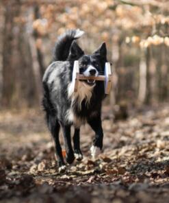 Houten Dumbbell 28 Houten Dumbbell