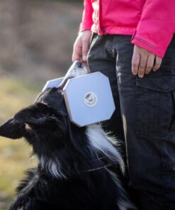 Houten Dumbbell 29 Houten Dumbbell