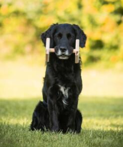 Houten Dumbbell 22 Houten Dumbbell