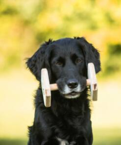 Houten Dumbbell 23 Houten Dumbbell