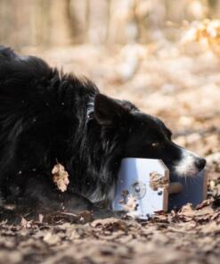 Houten Dumbbell 25 Houten Dumbbell