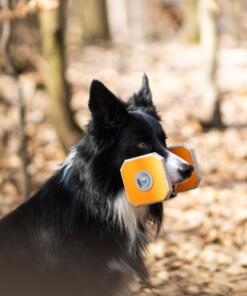 Houten Dumbbell 26 Houten Dumbbell