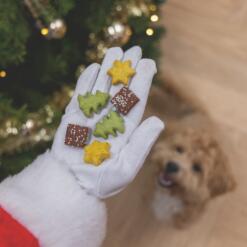 Kerstkoekjes Mix 10 Kerstkoekjes Mix