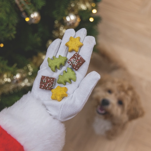 Kerstkoekjes Mix 5 Kerstkoekjes Mix