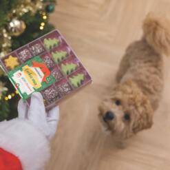 Kerstkoekjes Mix 11 Kerstkoekjes Mix