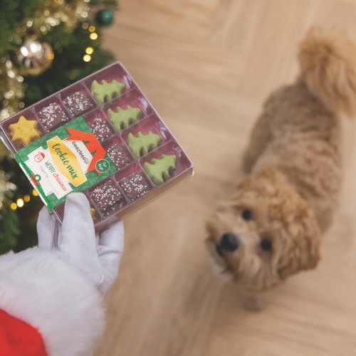 Kerstkoekjes Mix 6 Kerstkoekjes Mix