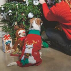 Kerstkoekjes Mix 12 Kerstkoekjes Mix