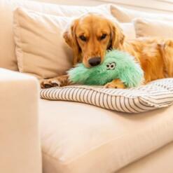 Magnus Rowdies 7 Magnus Rowdies