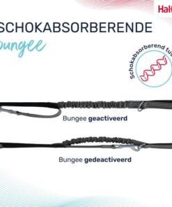 Multi Lijn Anatomy Halti 12 Multi Lijn Anatomy Halti