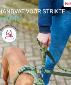 Multi Lijn Anatomy Halti 14 Multi Lijn Anatomy Halti