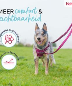 Multi Lijn Anatomy Halti 13 Multi Lijn Anatomy Halti