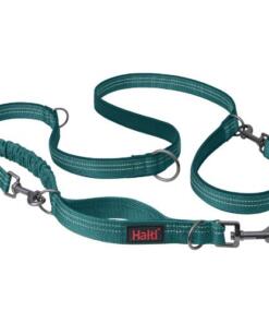 Multi Lijn Anatomy Halti 17 Multi Lijn Anatomy Halti Teal