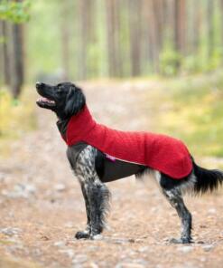 PolarPomppa 10 PolarPomppa