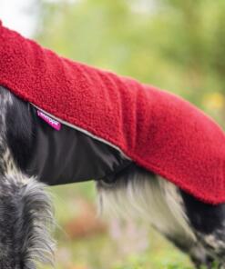 PolarPomppa 11 PolarPomppa