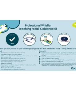 Professionele Fluit 14 Professionele fluit