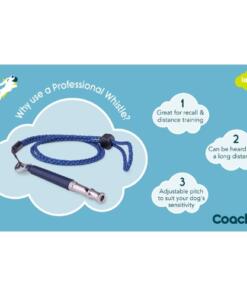 Professionele Fluit 11 Professionele fluit