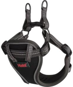 Puppy Tuig Anatomy Halti