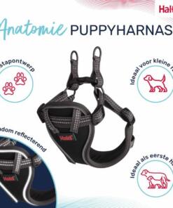 Puppy Tuig Anatomy Halti