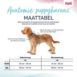 Puppy Tuig Anatomy Halti