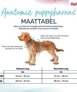 Puppy Tuig Anatomy Halti 11 Puppy Tuig Anatomy Halti