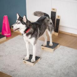 Target Hamtal Tartan Rubber