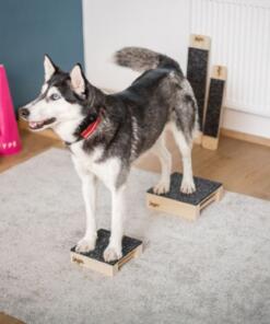 Target Hamtal Tartan Rubber 15 Target Hamtal Tartan Rubber