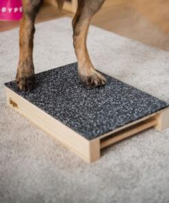 Target Hamtal Tartan Rubber 16 Target Hamtal Tartan Rubber