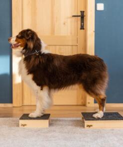 Target Hamtal Tartan Rubber 12 Target Hamtal Tartan Rubber