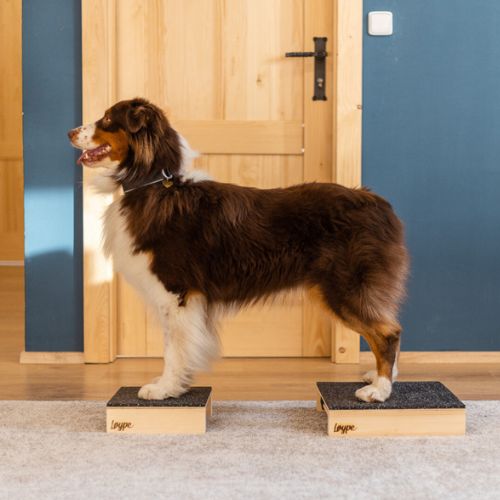 Target Hamtal Tartan Rubber 4 Target Hamtal Tartan Rubber