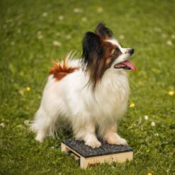 Target Hamtal Tartan Rubber