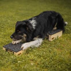 Target Hamtal Tartan Rubber