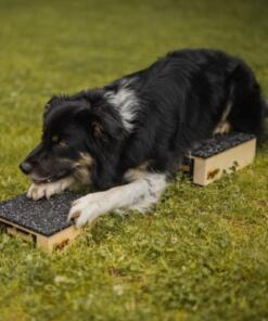 Target Hamtal Tartan Rubber 18 Target Hamtal Tartan Rubber