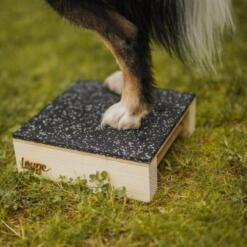 Target Hamtal Tartan Rubber